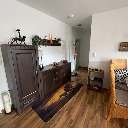 Moeblierte Wohnung Fuer Geschaeftsreisen/Ferienwohnung Plauen Stadtmitte Eksteriør bilde