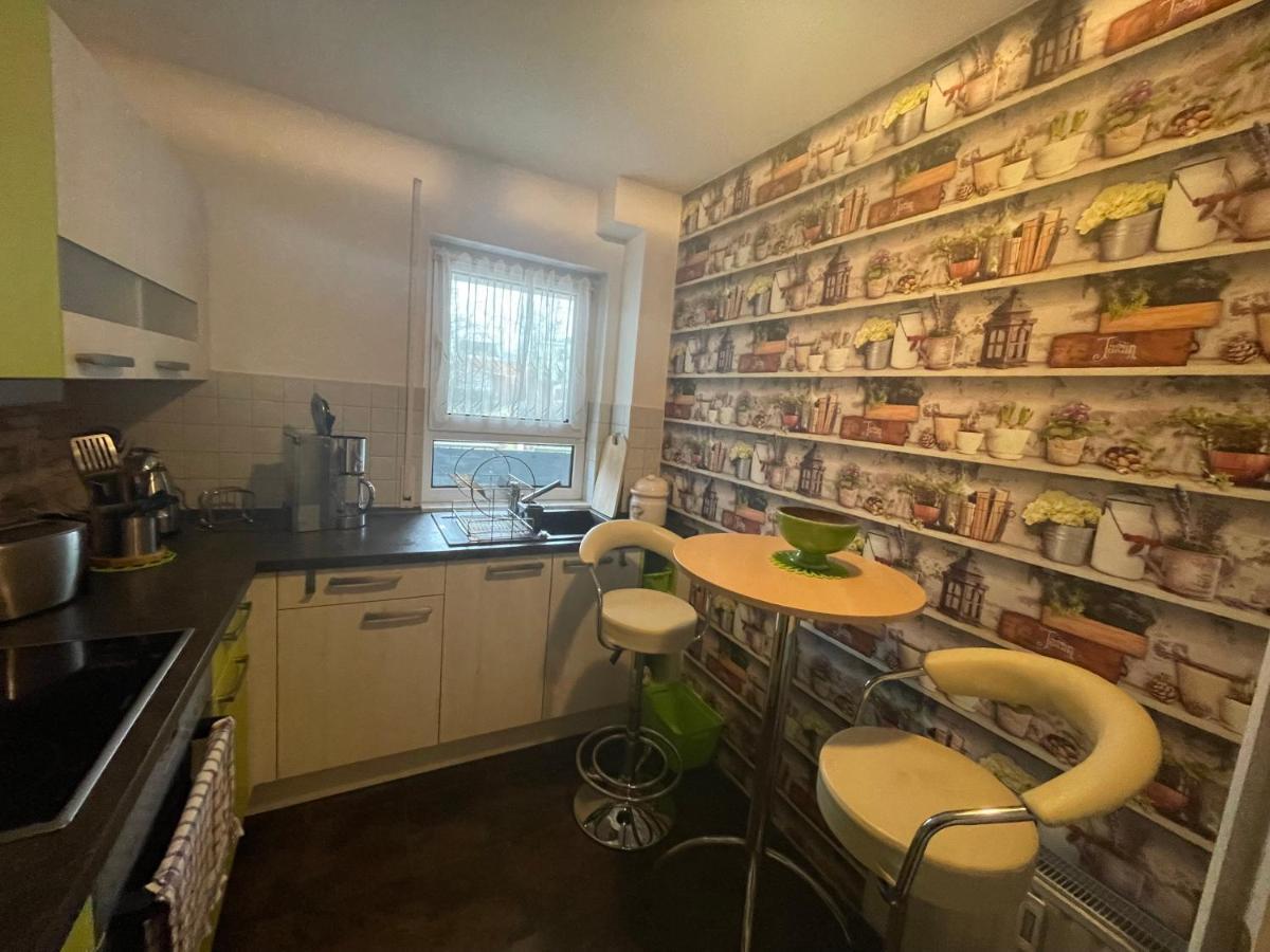 Moeblierte Wohnung Fuer Geschaeftsreisen/Ferienwohnung Plauen Stadtmitte Eksteriør bilde